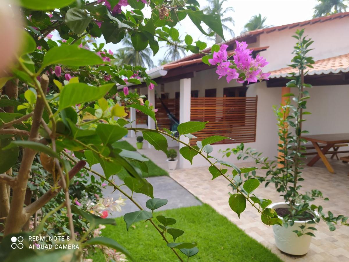 Casa Grande Bed & Breakfast Camocim Eksteriør bilde